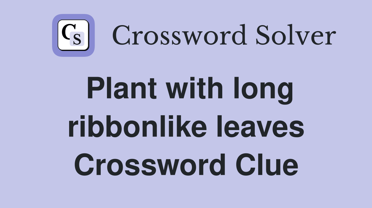 Plant with long ribbonlike leaves Crossword Clue