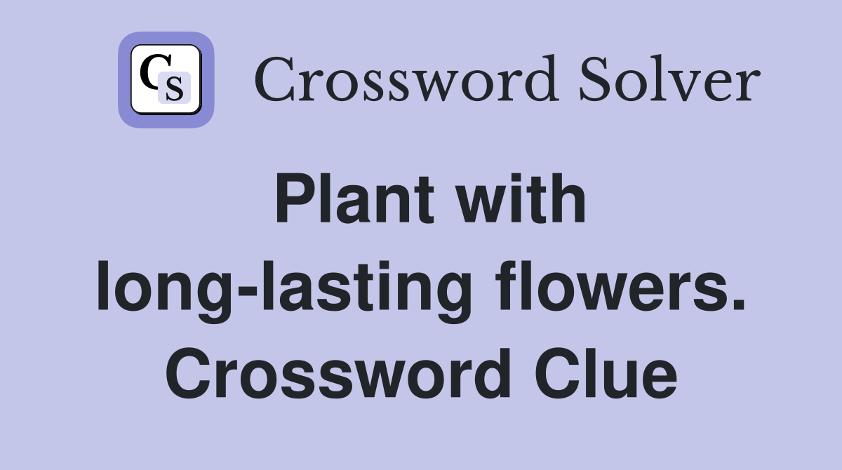 Plant with long-lasting flowers. Crossword Clue
