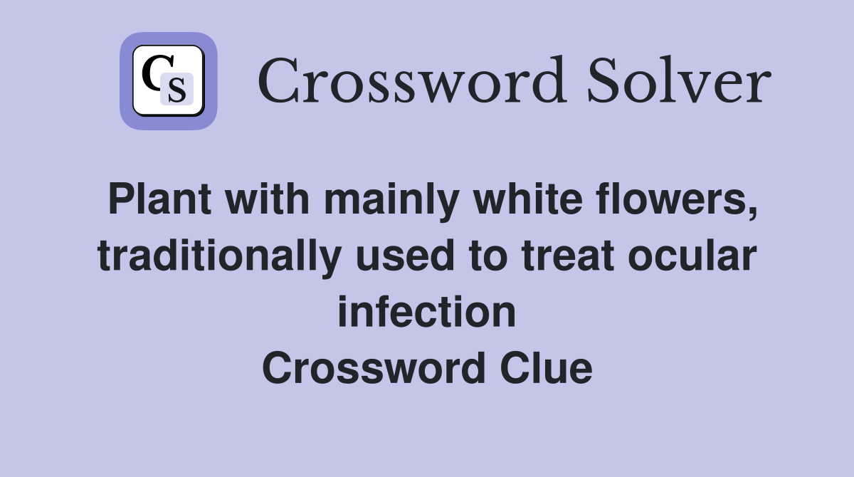 Plant with mainly white flowers, traditionally used to treat ocular infection Crossword Clue