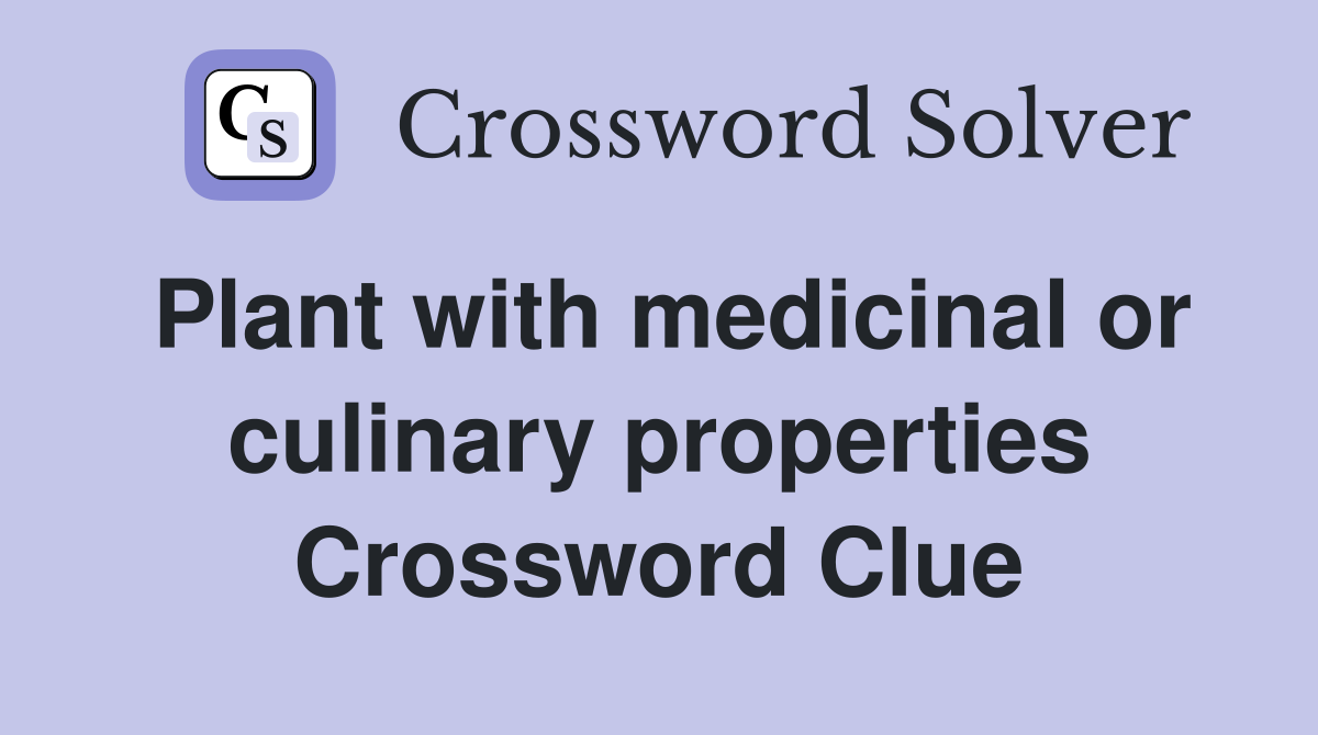 Plant with medicinal or culinary properties Crossword Clue