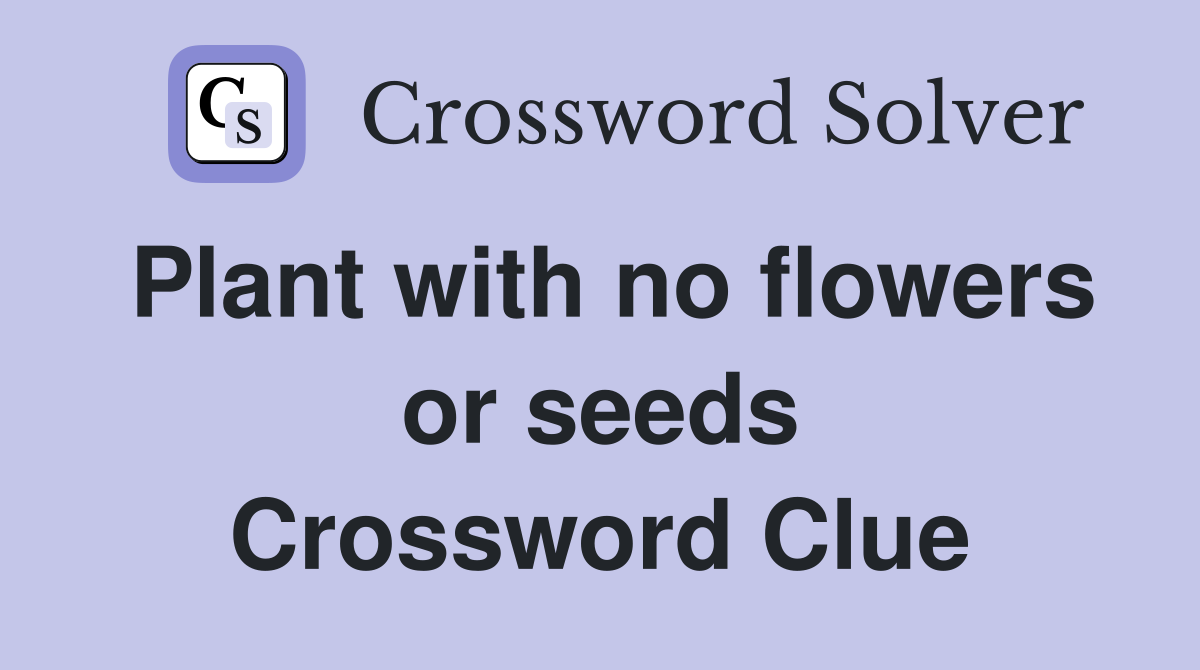 Plant with no flowers or seeds Crossword Clue