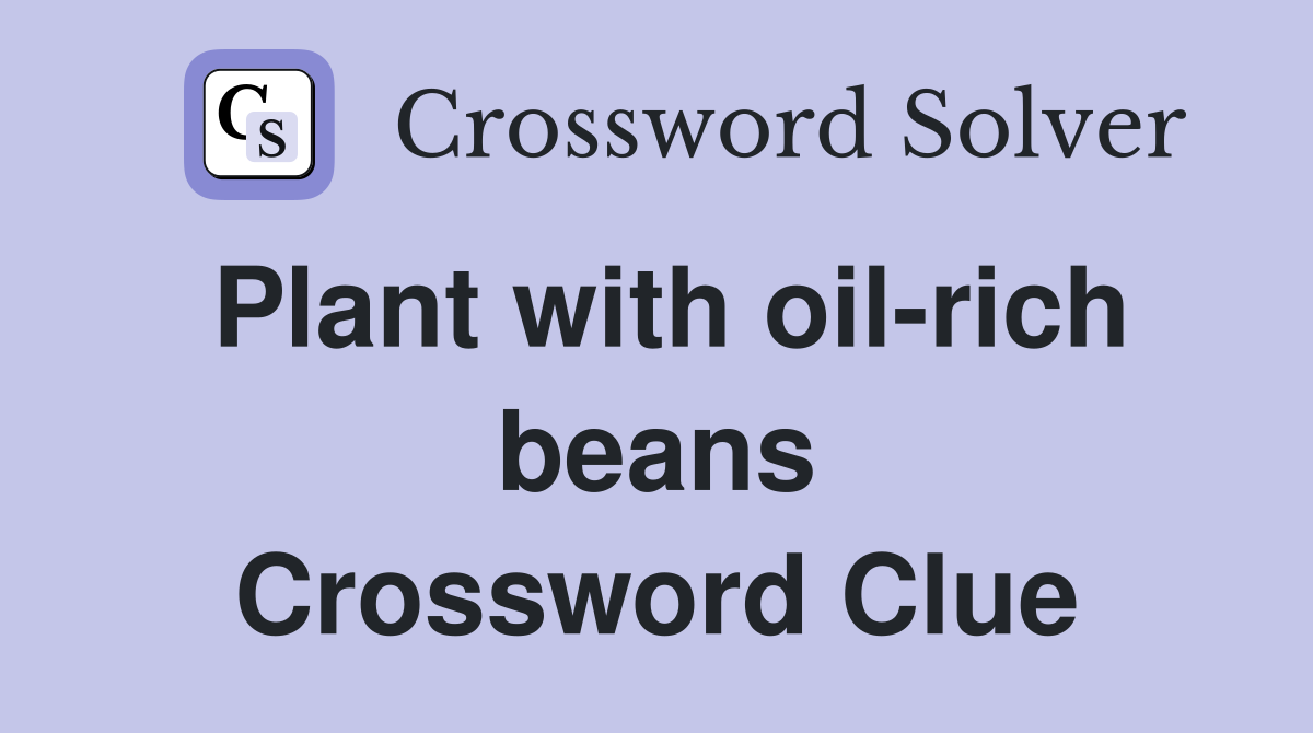 Plant with oil-rich beans Crossword Clue