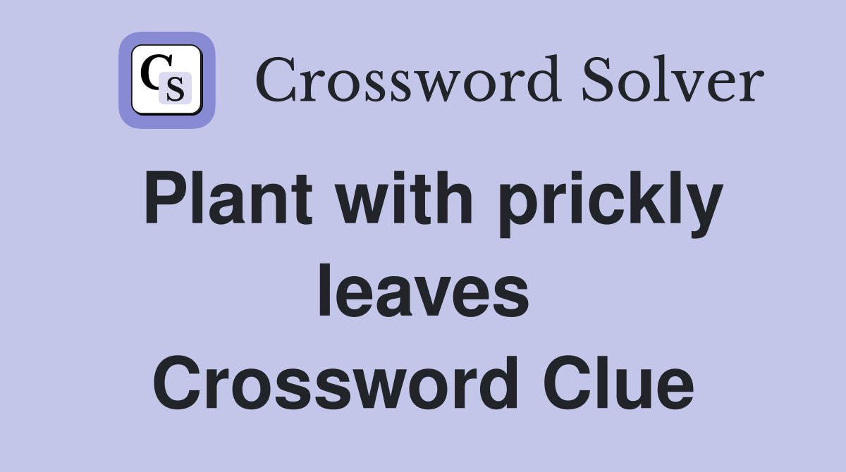 Plant with prickly leaves Crossword Clue