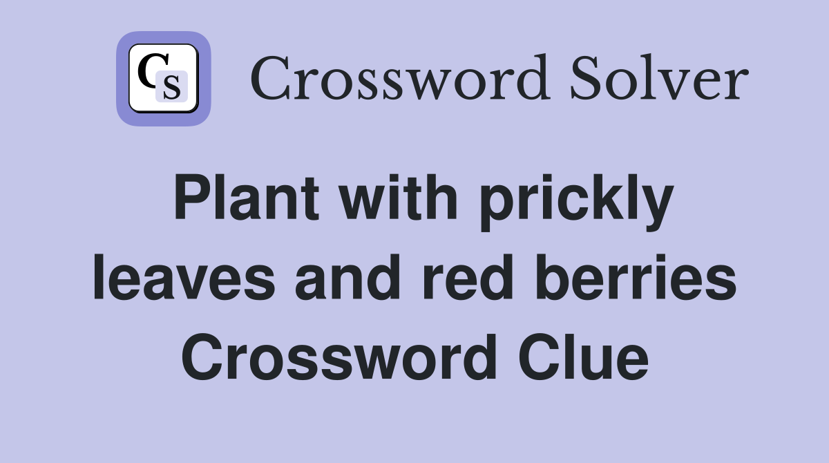 Plant with prickly leaves and red berries Crossword Clue