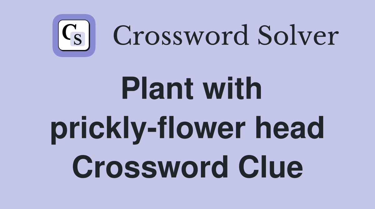 Plant with prickly-flower head Crossword Clue