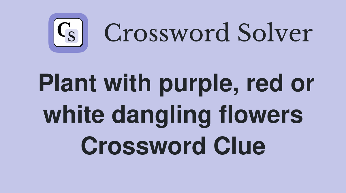 Plant with purple, red or white dangling flowers Crossword Clue