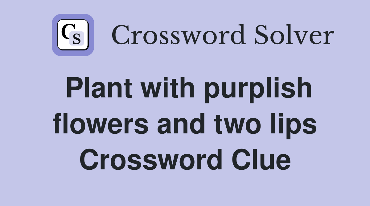Plant with purplish flowers and two lips Crossword Clue