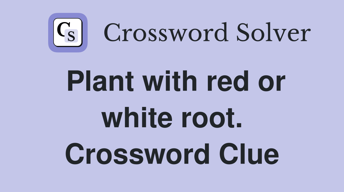 Plant with red or white root. Crossword Clue