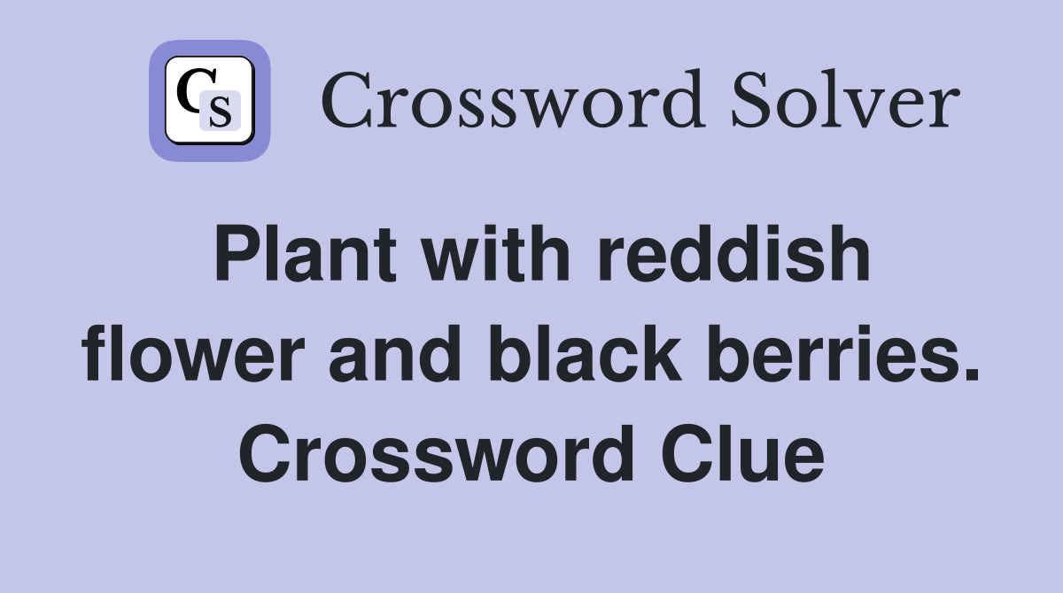 Plant with reddish flower and black berries. Crossword Clue