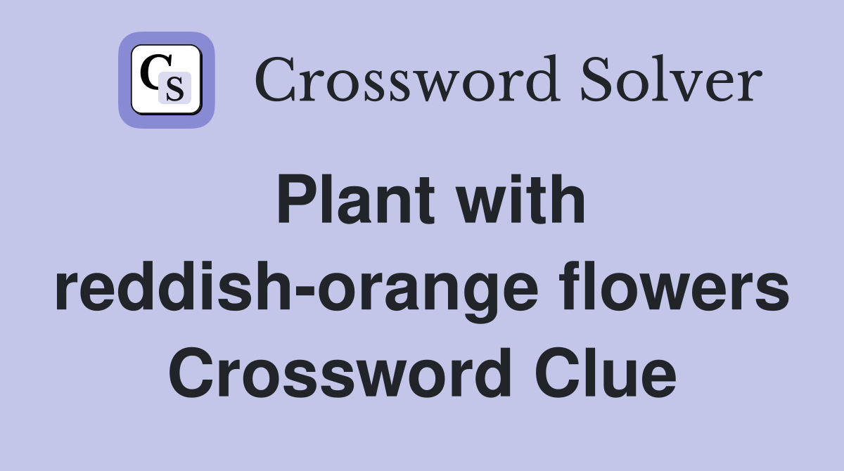 Plant with reddish-orange flowers Crossword Clue