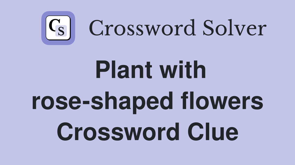 Plant with rose-shaped flowers Crossword Clue