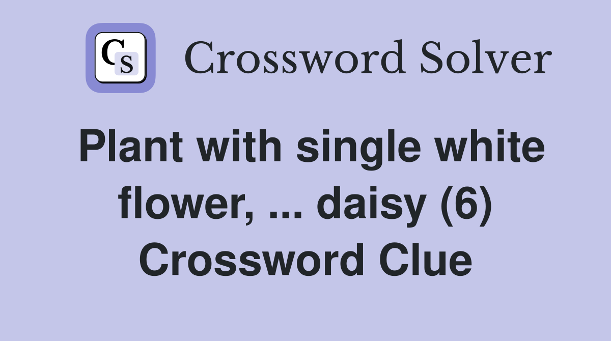 Plant with single white flower, ... daisy (6) Crossword Clue