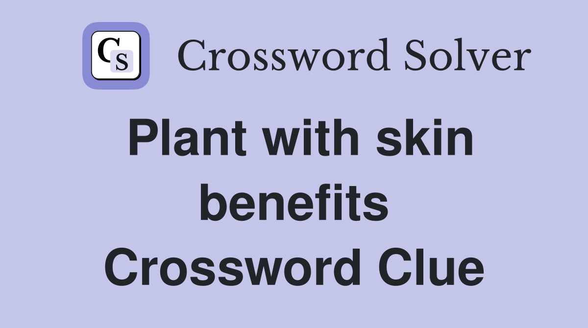 Plant with skin benefits Crossword Clue