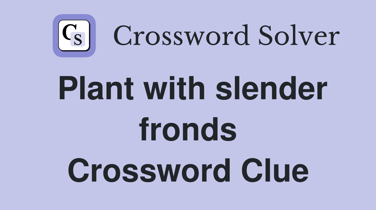 Plant with slender fronds Crossword Clue