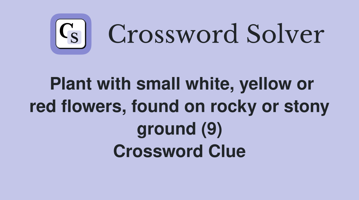 Plant with small white, yellow or red flowers, found on rocky or stony ground (9) Crossword Clue