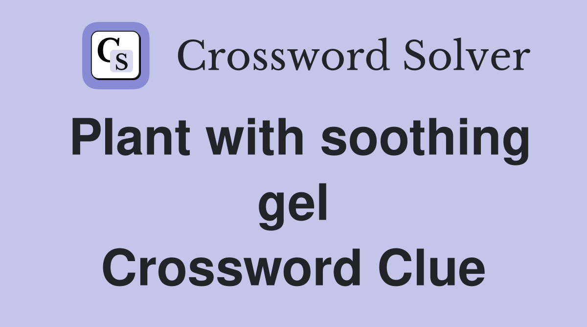 Plant with soothing gel Crossword Clue