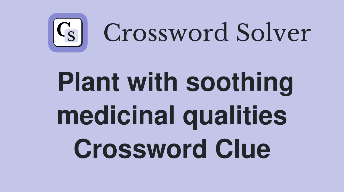 Plant with soothing medicinal qualities Crossword Clue