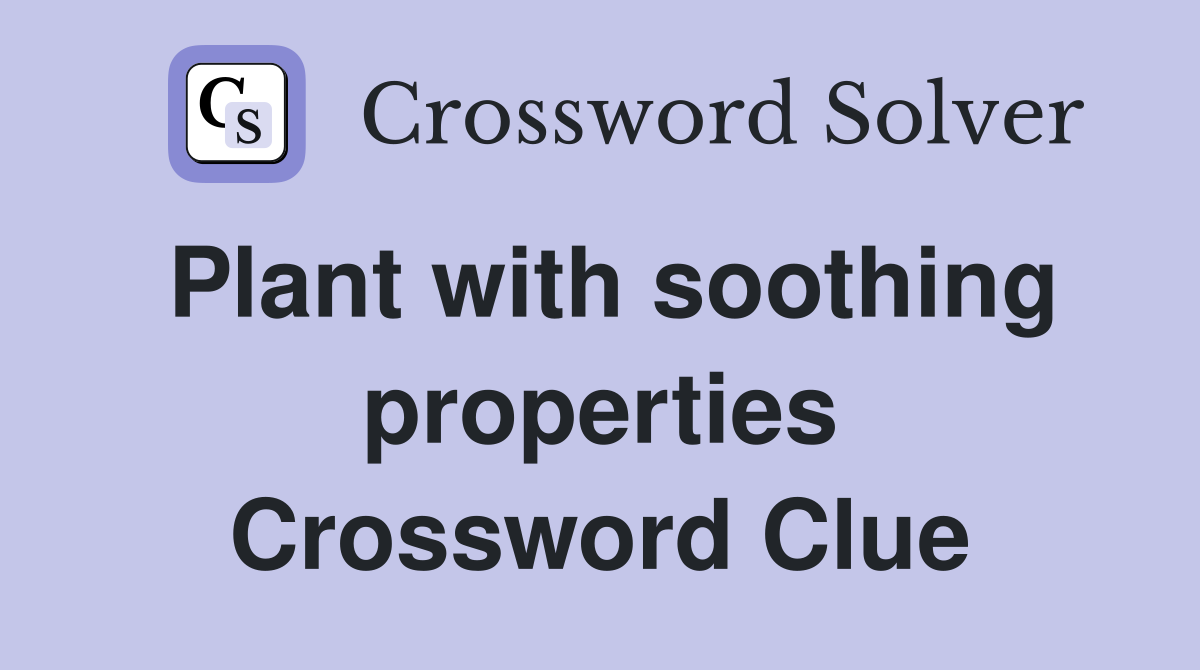 Plant with soothing properties Crossword Clue