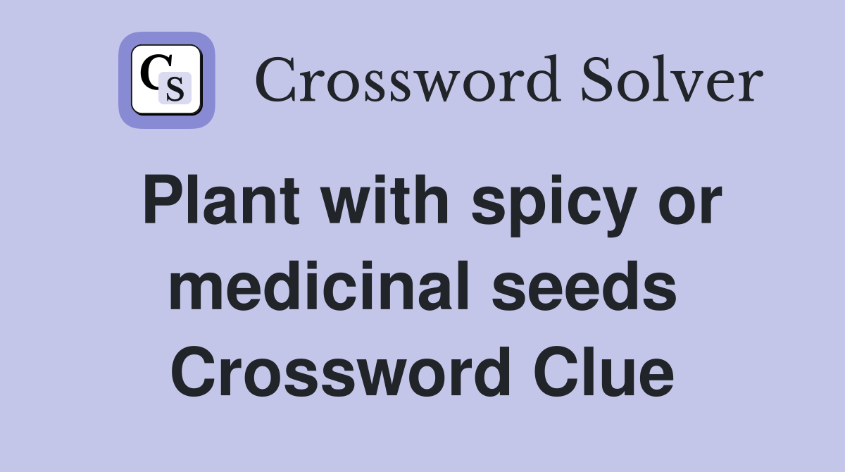 Plant with spicy or medicinal seeds Crossword Clue