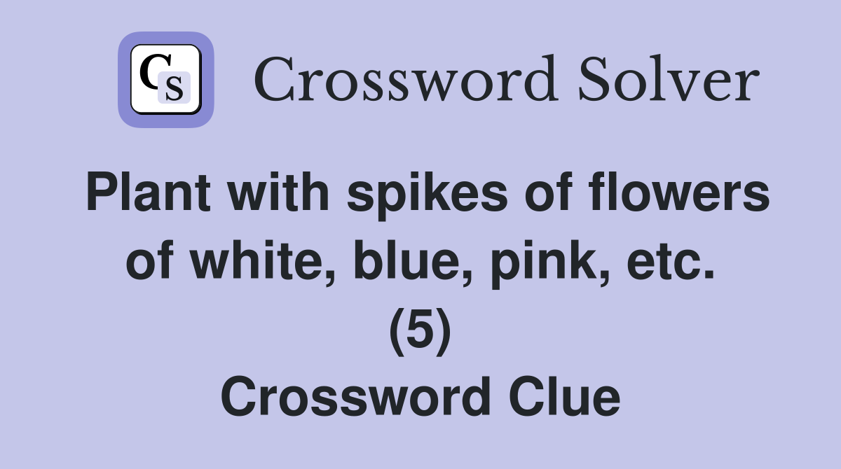 Plant with spikes of flowers of white, blue, pink, etc. (5) Crossword Clue