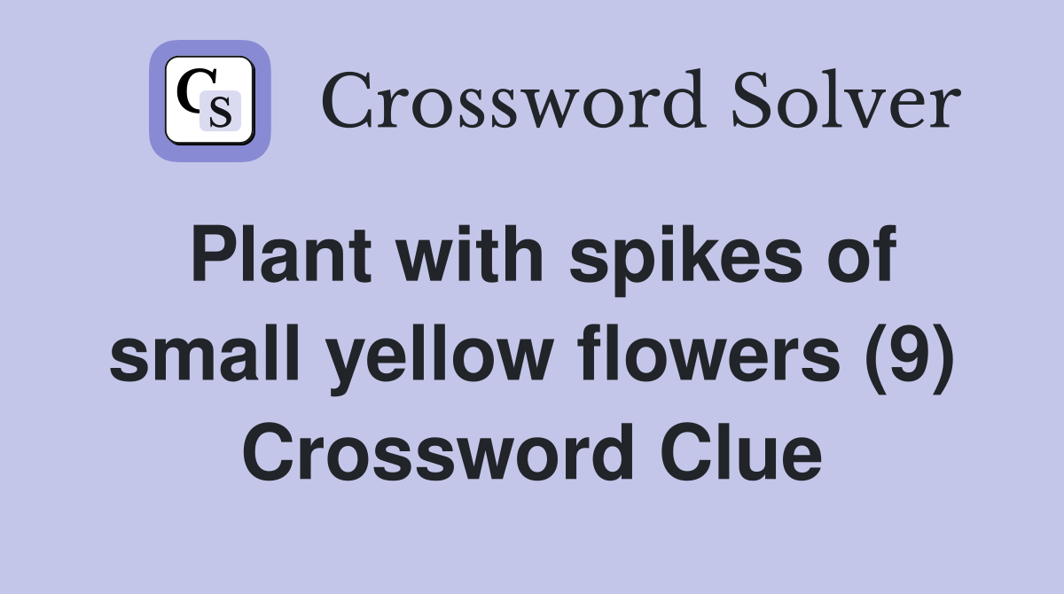 Plant with spikes of small yellow flowers (9) Crossword Clue