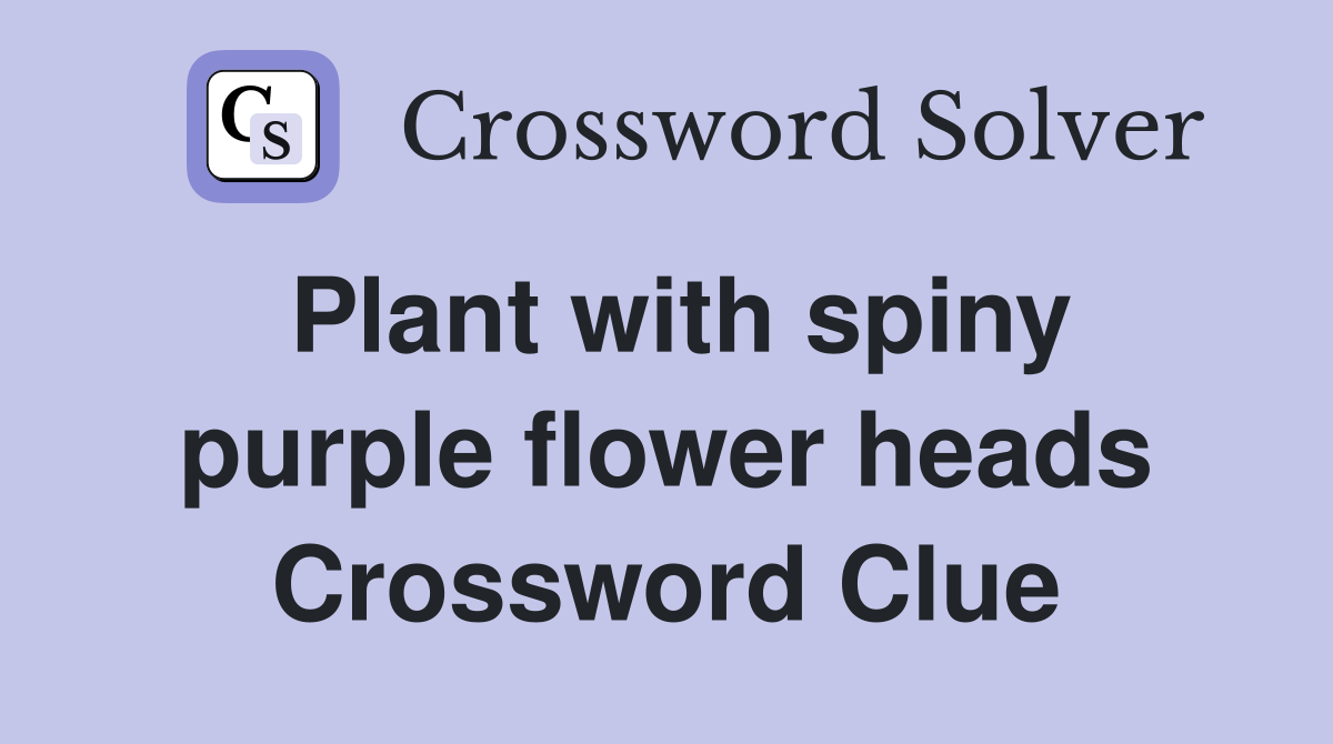 Plant with spiny purple flower heads Crossword Clue