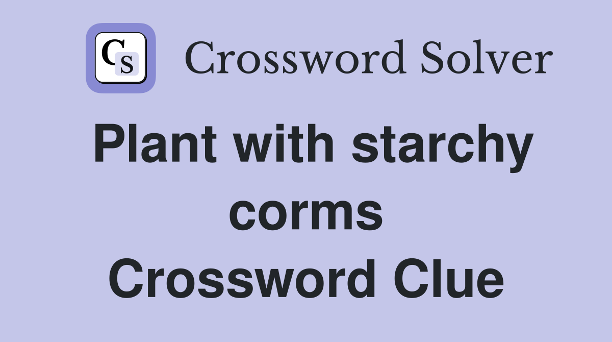 Plant with starchy corms Crossword Clue