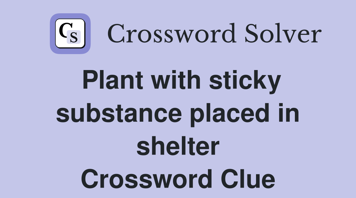 Plant with sticky substance placed in shelter Crossword Clue