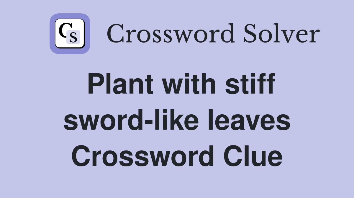 Plant with stiff sword-like leaves Crossword Clue