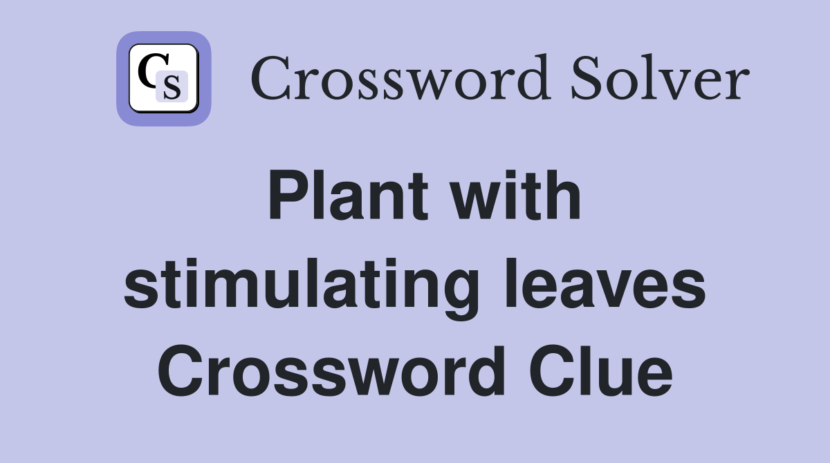 Plant with stimulating leaves Crossword Clue