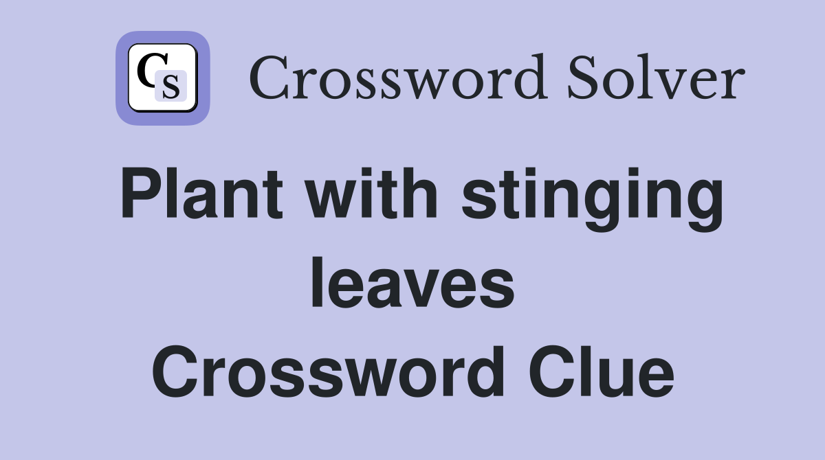 Plant with stinging leaves Crossword Clue