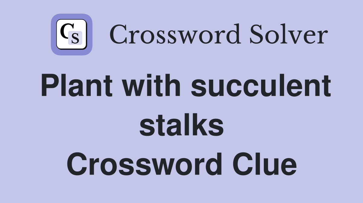 Plant with succulent stalks Crossword Clue
