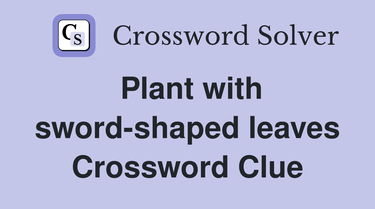 Plant with sword-shaped leaves Crossword Clue