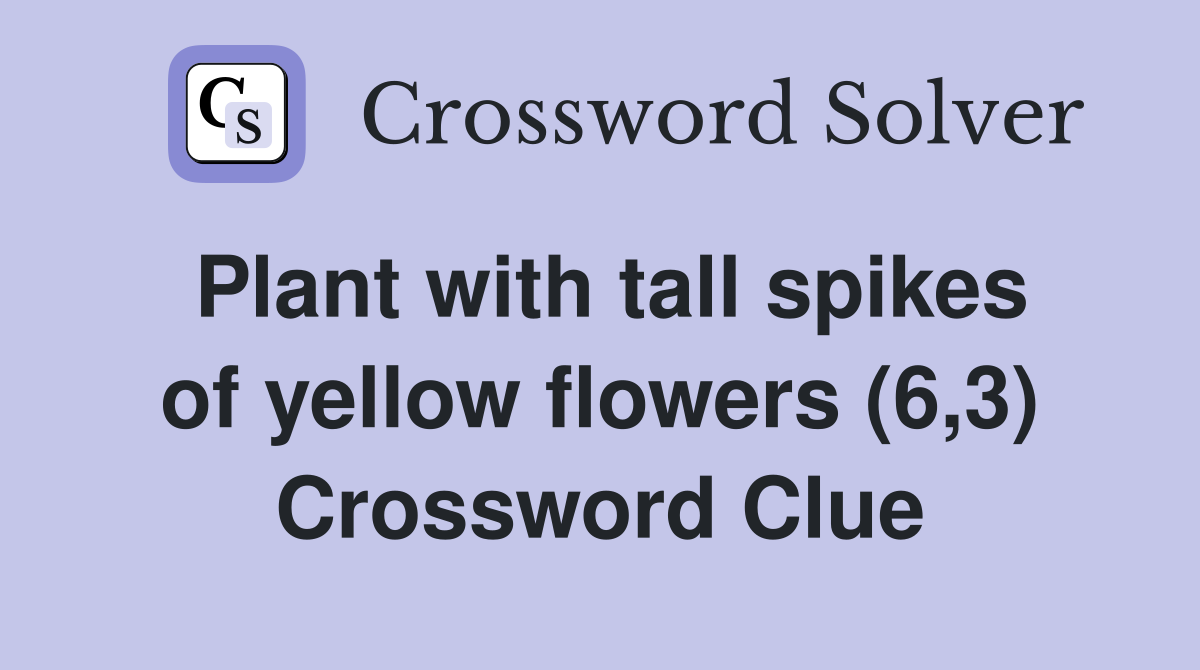 Plant with tall spikes of yellow flowers (6,3) Crossword Clue