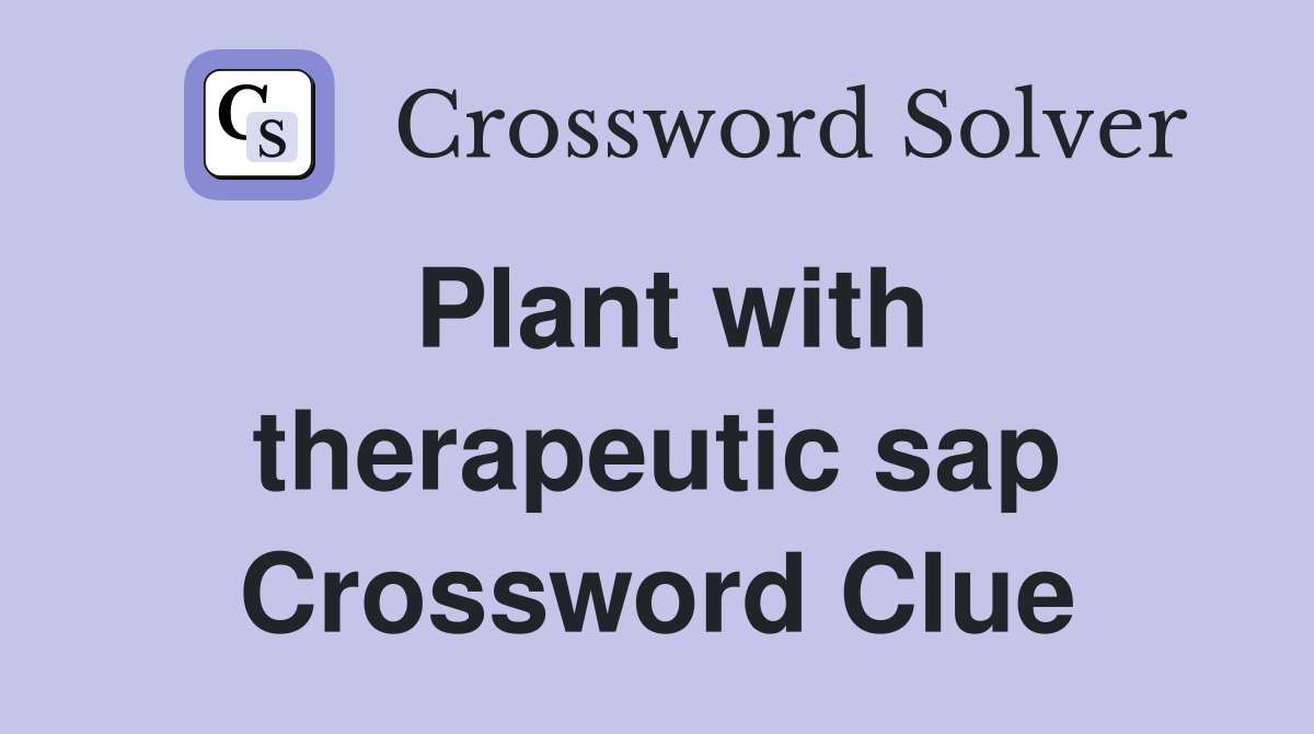 Plant with therapeutic sap Crossword Clue