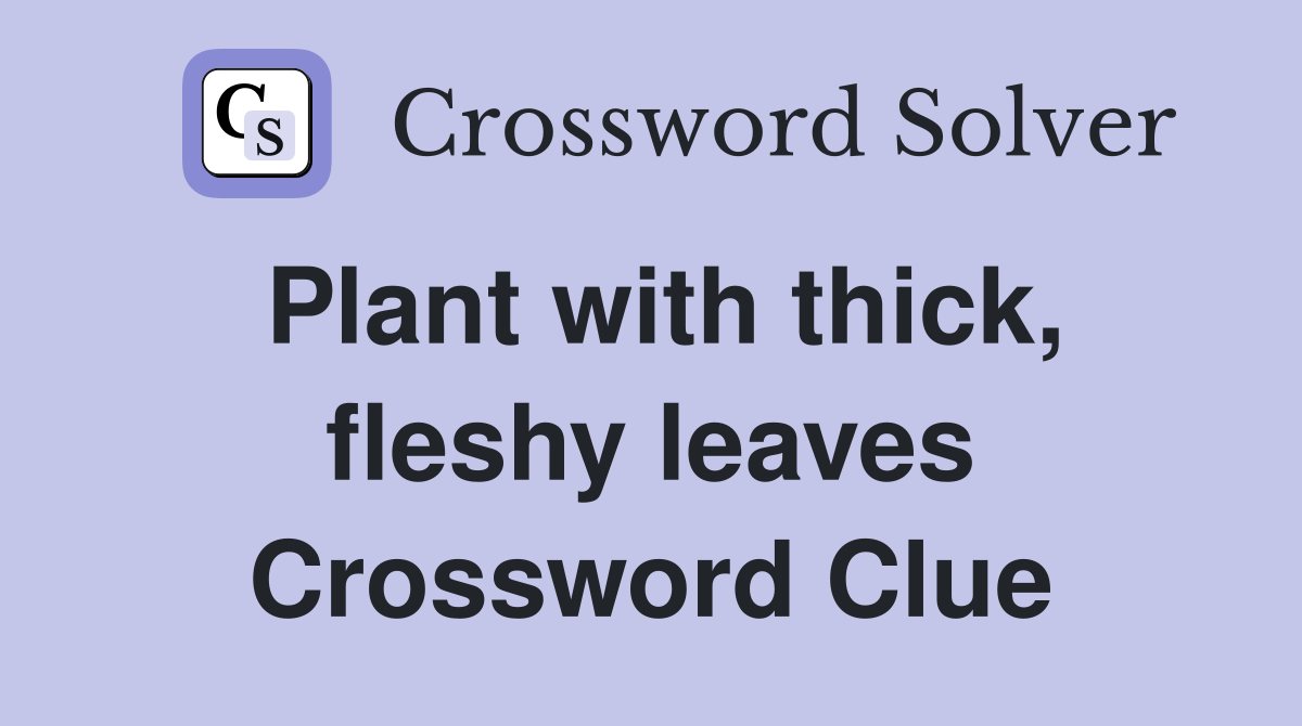 Plant with thick, fleshy leaves Crossword Clue