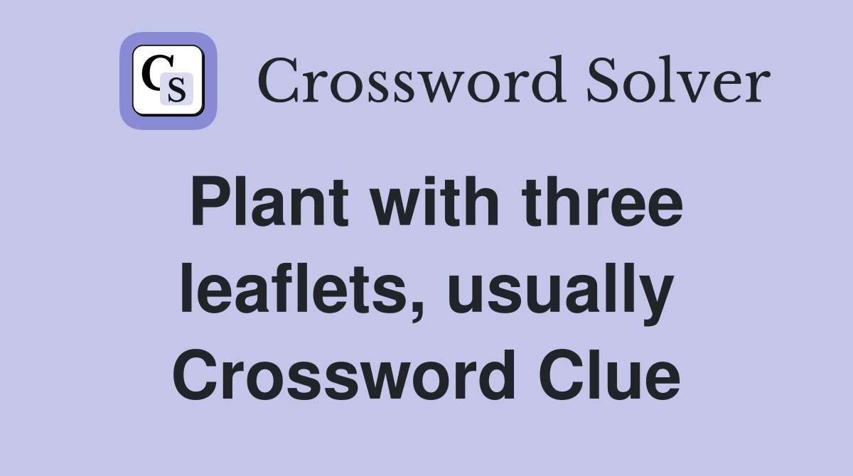 Plant with three leaflets, usually Crossword Clue
