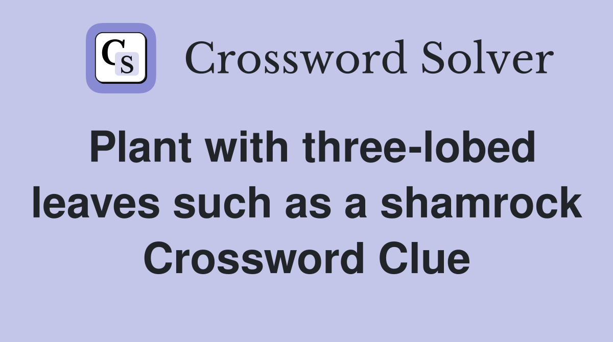 Plant with three-lobed leaves such as a shamrock Crossword Clue