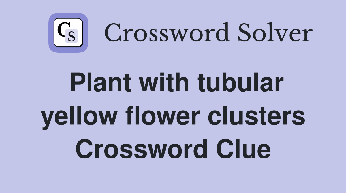 Plant with tubular yellow flower clusters Crossword Clue