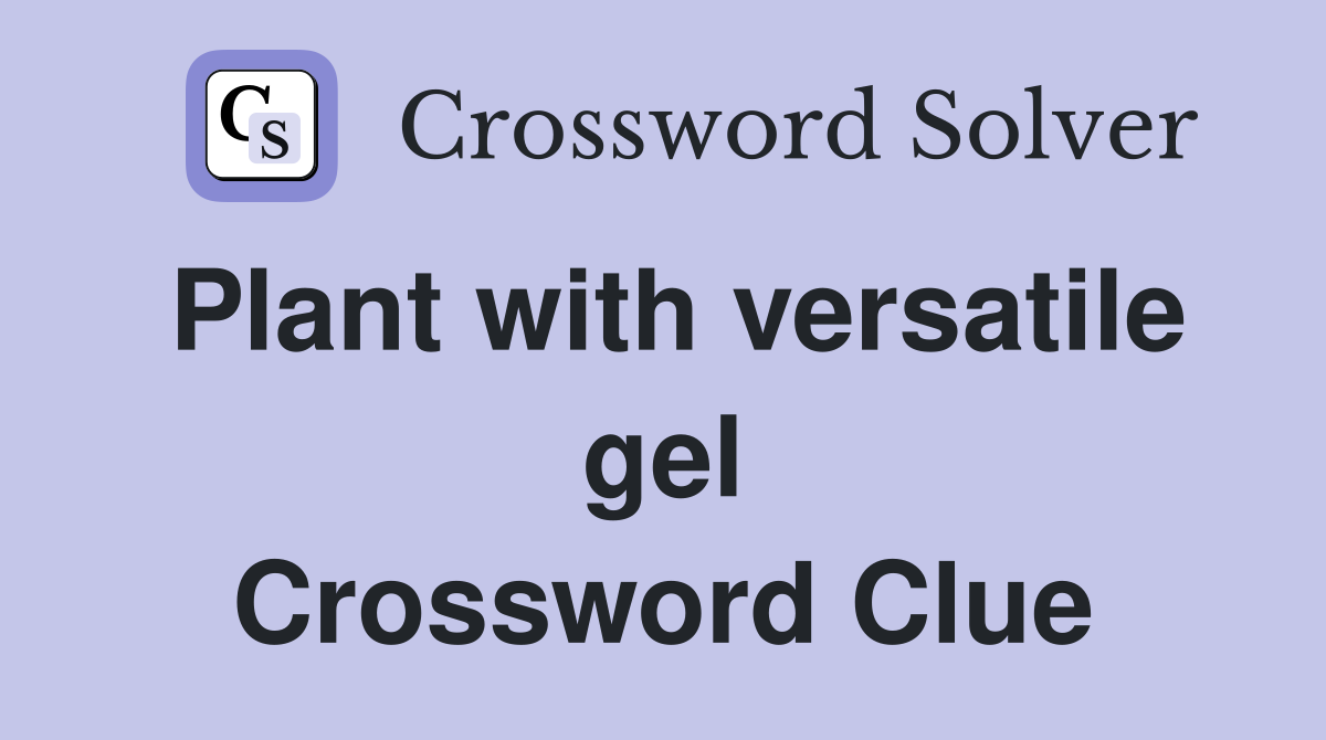 Plant with versatile gel Crossword Clue