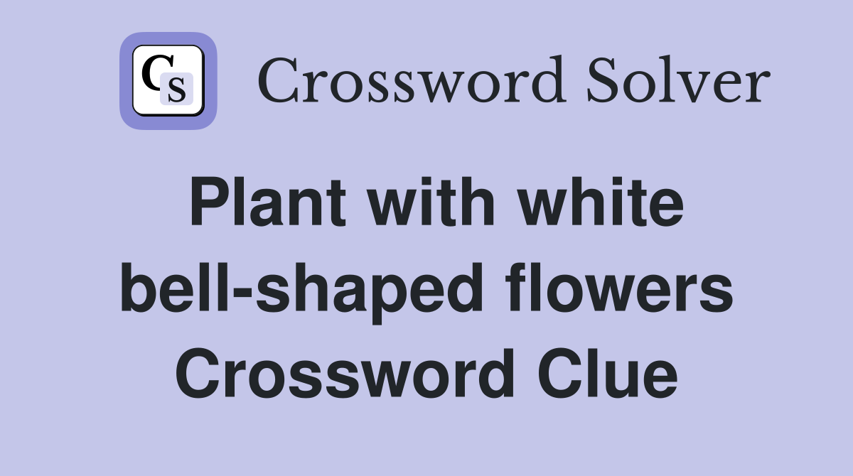 Plant with white bell-shaped flowers Crossword Clue