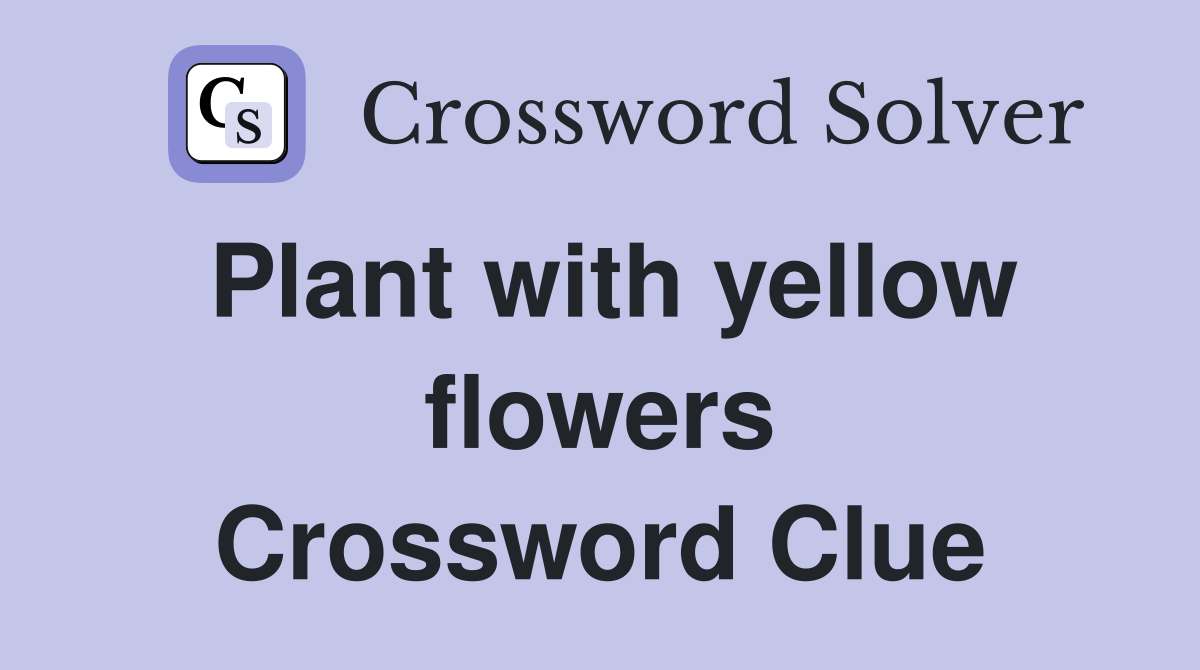 Plant with yellow flowers Crossword Clue