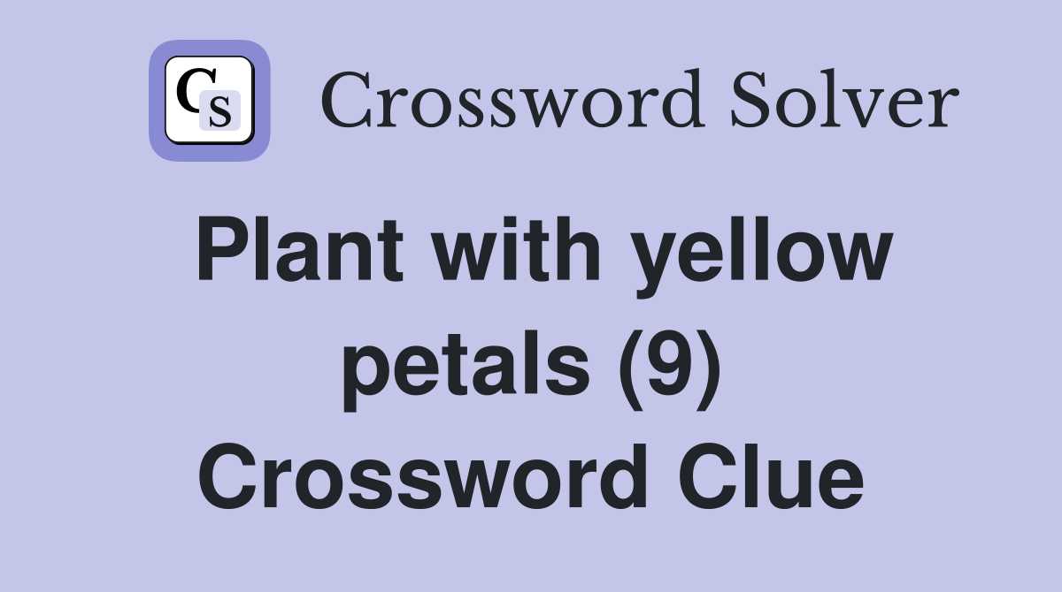 Plant with yellow petals (9) Crossword Clue