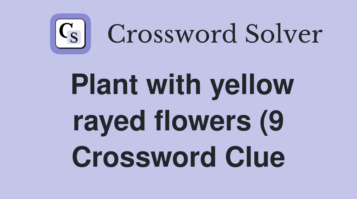 Plant with yellow rayed flowers (9) Crossword Clue Answers Plant with yellow rayed flowers (9) Crossword Clue Answers