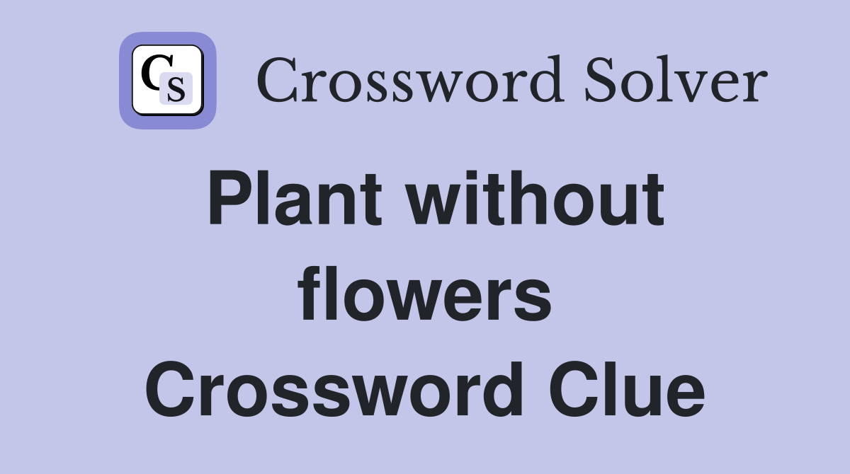 Plant without flowers Crossword Clue