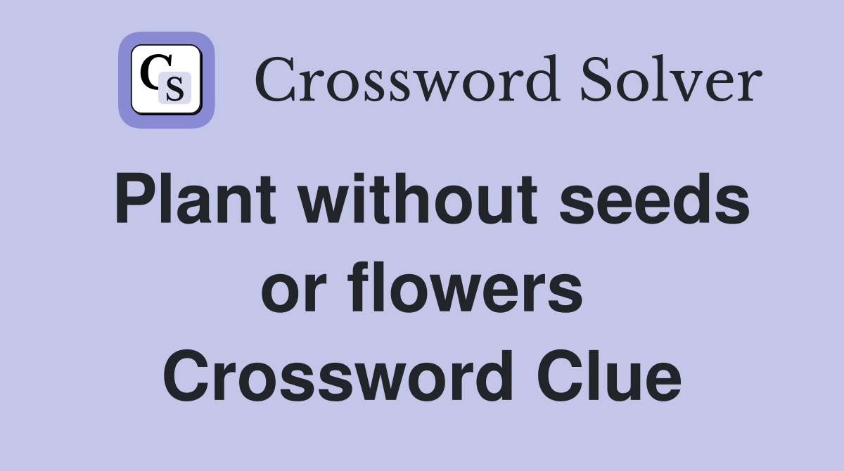Plant without seeds or flowers Crossword Clue