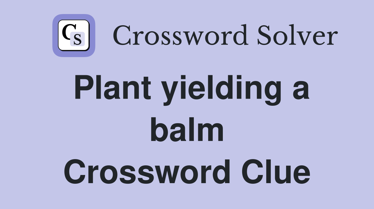Plant yielding a balm Crossword Clue