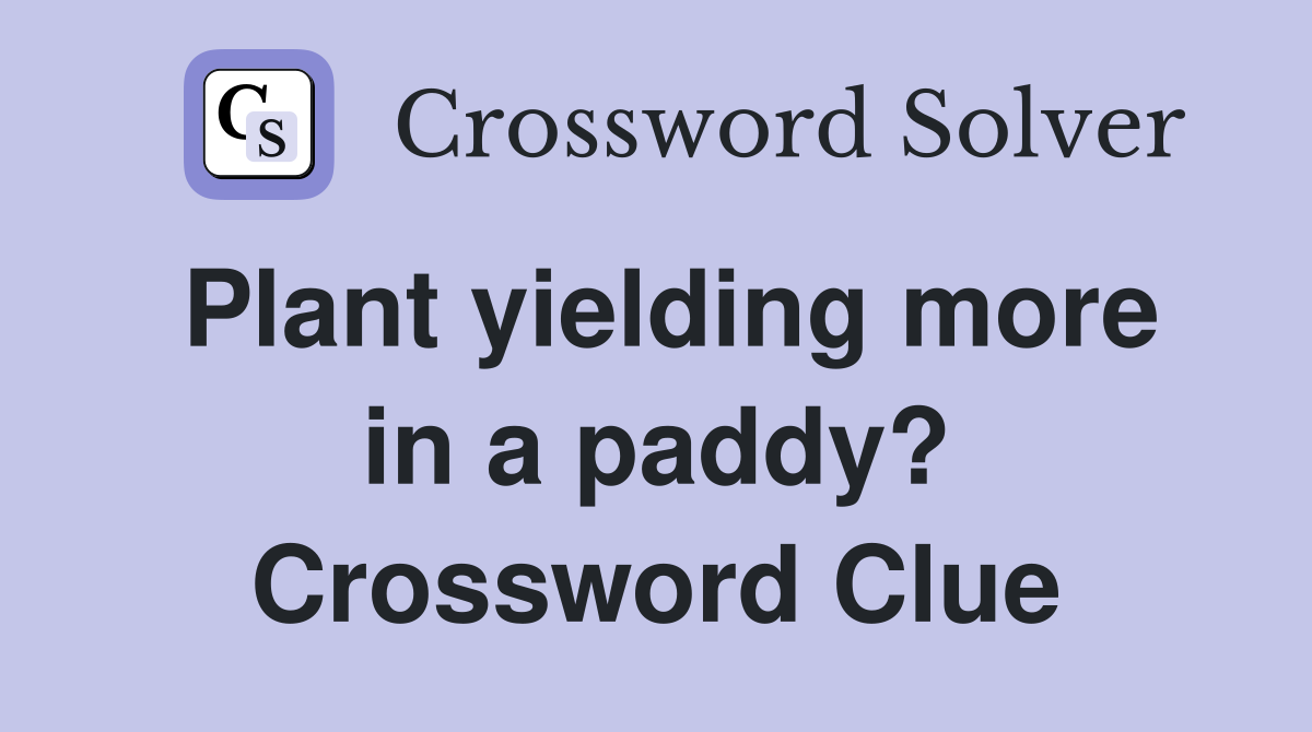 Plant yielding more in a paddy? Crossword Clue