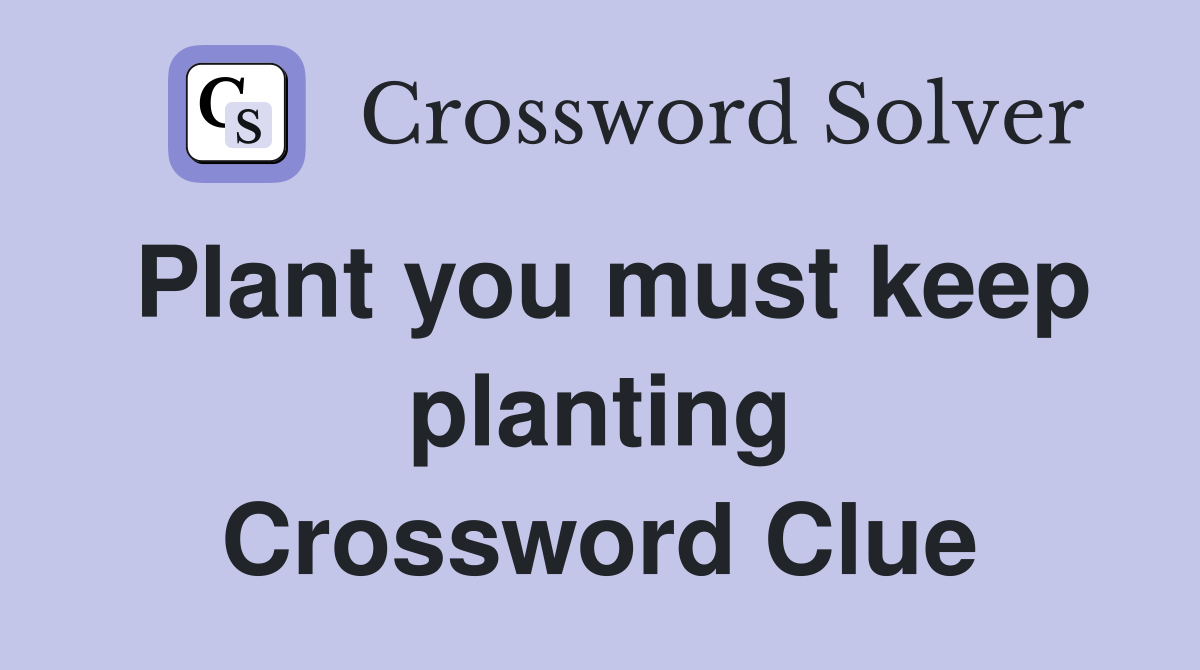 Plant you must keep planting Crossword Clue