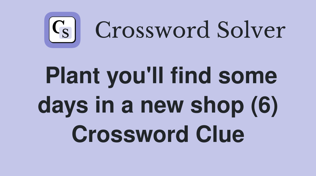 Plant you'll find some days in a new shop (6) Crossword Clue
